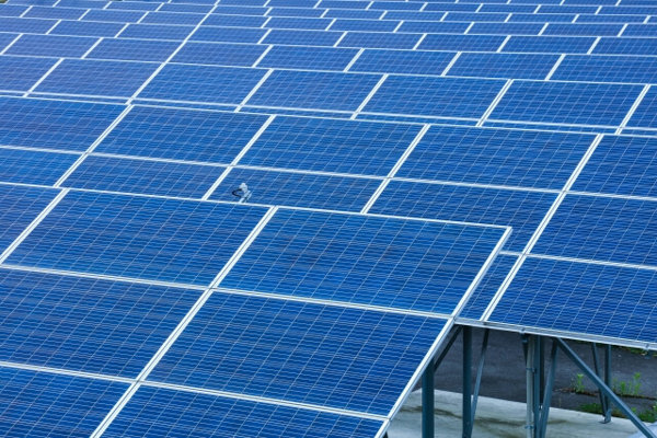 野だての自家消費型太陽光発電イメージ